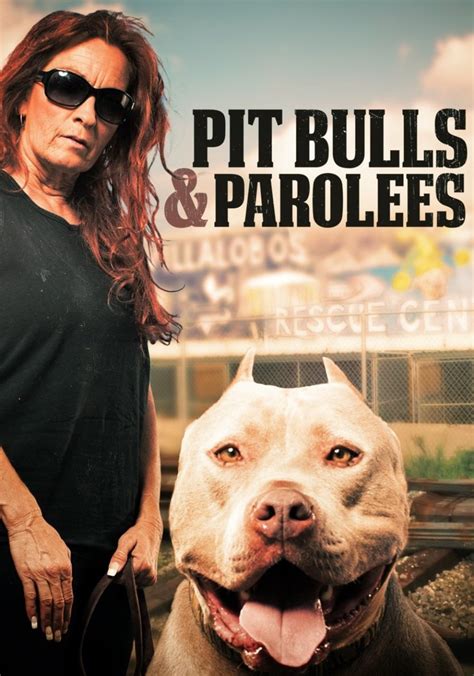 cartoonhd pit bulls and parolees|Stream Pit Bulls & Parolees .